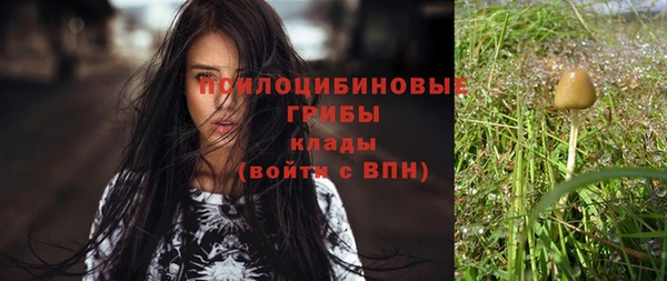 соль курить ск Алексеевка